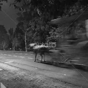 by Dipa Chatterjee - City,  Street & Park Night