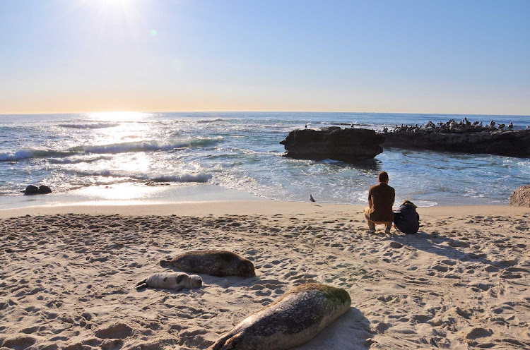 La Jolla Cove beach, just outside San Diego.