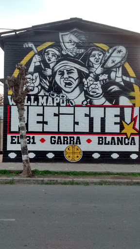 Mural Mapuche