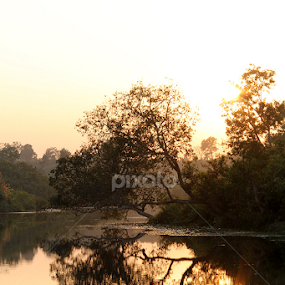 by Murshalin Ahmed - Novices Only Landscapes