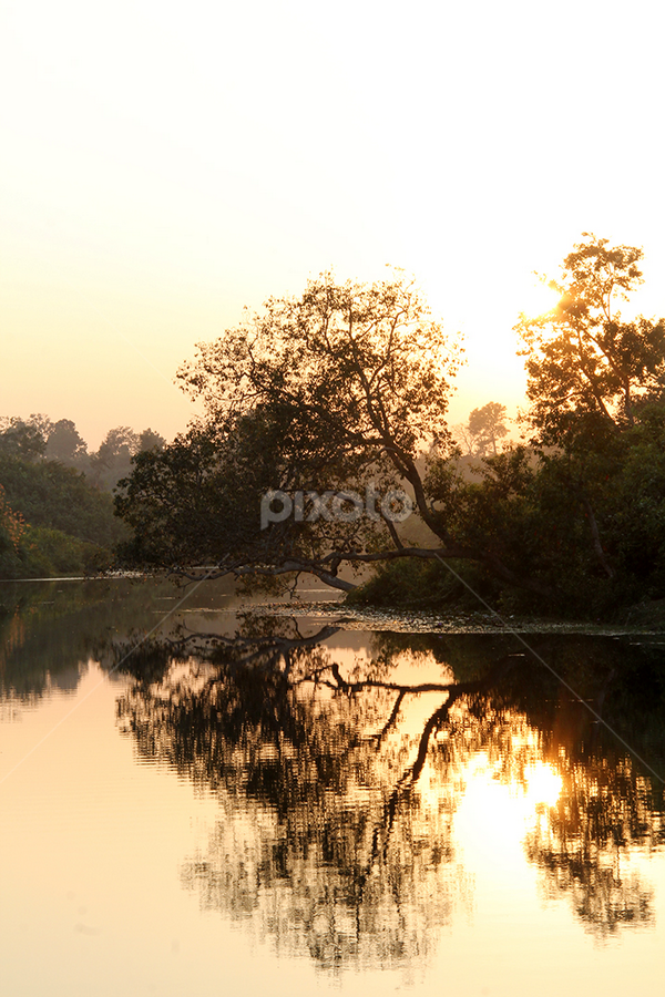 by Murshalin Ahmed - Novices Only Landscapes