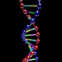 DNA Live Wallpaper logo