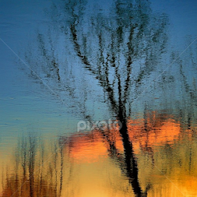 riflesso by Claudio Minghi - Landscapes Sunsets & Sunrises