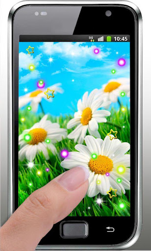 【免費個人化App】Camomile Flower live wallpaper-APP點子