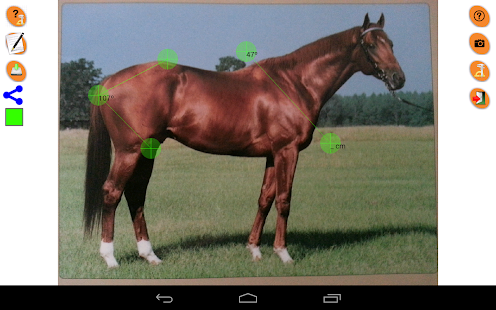 Horse Conformation Screenshots 3