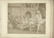 Gesluierde vrouwen zitten op een kar die wordt voortgetrokken door een ezel