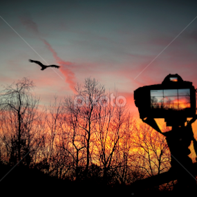 Captured... by Paul Mays - Landscapes Sunsets & Sunrises