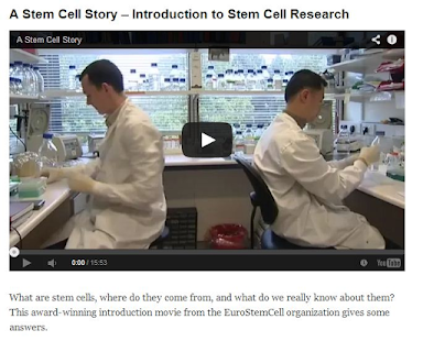 The Stem Cells Blog Screenshots 3