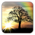 Sun Rise Free Live Wallpaper4.6.3
