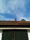 Ralph auf dem Dach