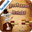 Professor Bricks logo