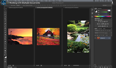 Basic Photoshop - Udemy Course poster 16