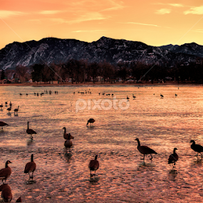IMG_0884 by Michael Sinko - Landscapes Mountains & Hills