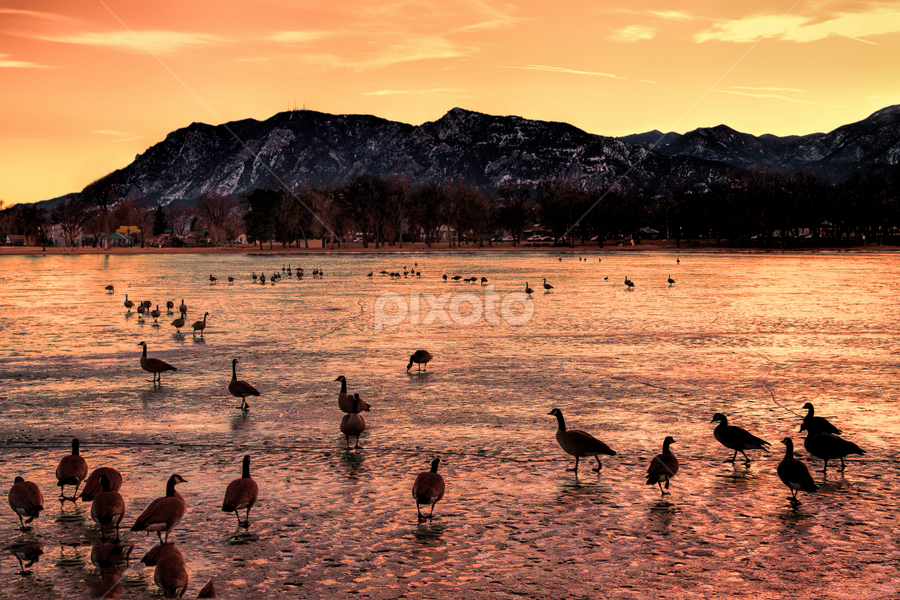 IMG_0884 by Michael Sinko - Landscapes Mountains & Hills