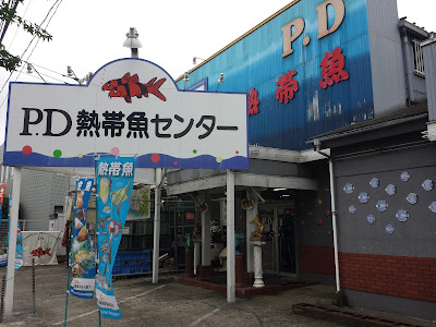 Pd熱帯魚センター 閉店 287440-Pd熱帯魚センター 閉店
