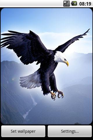 Eagle Live Wallpaper