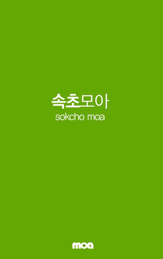 속초모아 - 지역포털 모아