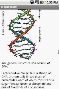 Lastest Biochemistry Study Guide APK for Android