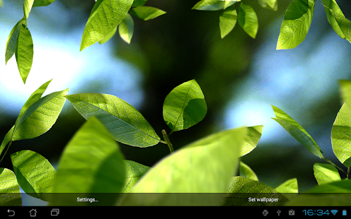 Fresh Leaves - screenshot thumbnail