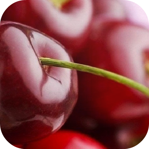 Juicy Cherry Live Wallpaper 個人化 App LOGO-APP開箱王