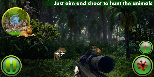Jungle Animals Hunt
