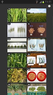 K gallery Screenshots 3