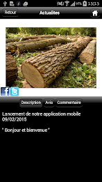 sfd firewood poster 13