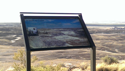 Shift In Color at Petrified Forest