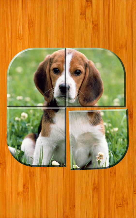 Best Dog Puzzle Games Free Android Apps on Google Play