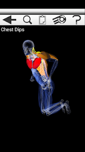 Free Download Precision Fit Trainer APK