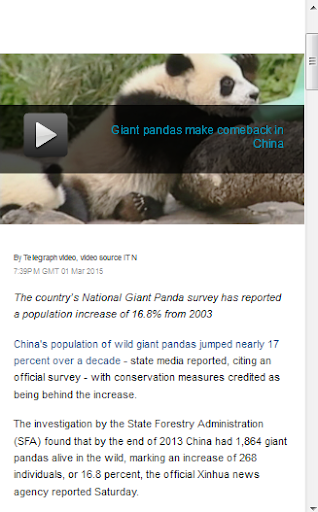 Giant Panda News