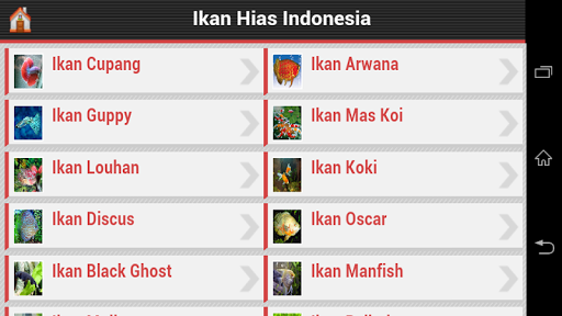 【免費娛樂App】Ikan Hias Air Tawar Indonesia-APP點子