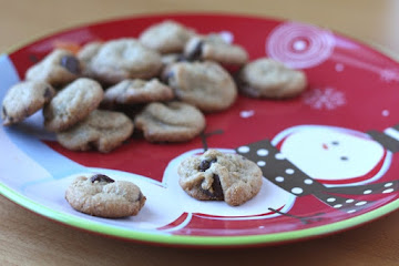 Peanut Butter Chocolate Chip Cookie Bites – Grain Free