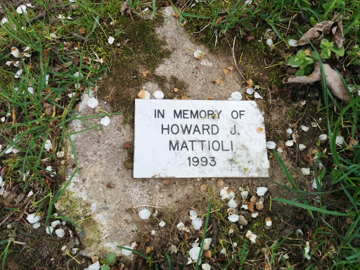 In Memory of Howard J. Mattioli