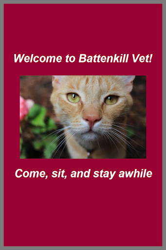 BattenkillVet