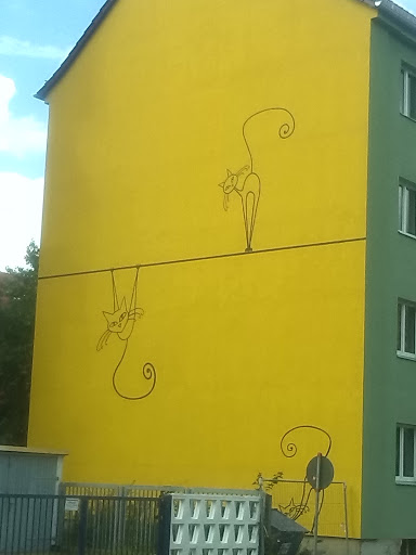 Katzenkunst Hausfassade