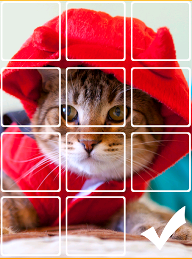 免費下載解謎APP|Lovely Cat Sliding Puzzle app開箱文|APP開箱王