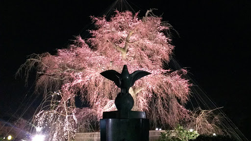 円山公園 垂れ桜とモニュメント