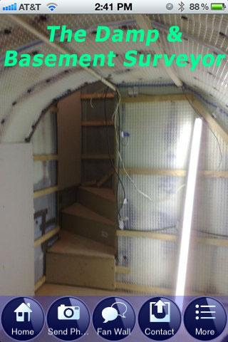 The Damp Basement Surveyor