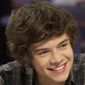 Harry Styles One Direction New logo
