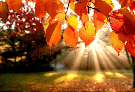 Free Download Golden Play APK for Android