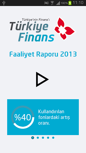 Türkiye Finans Faaliyet Raporu