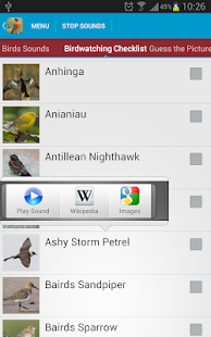 North American Birds Sounds Screenshots 18