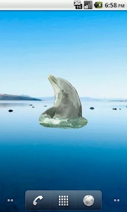 Free Dolphin Sticker APK for Android