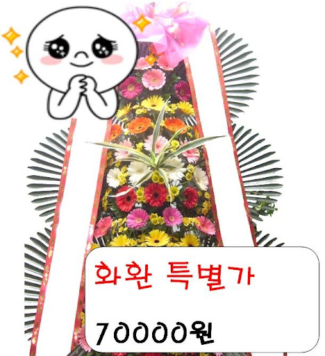  에스더플라워-익산꽃배달,익산화환,전주꽃배달, 군산꽃배달 스마트한 앱포털 - 팟게이트