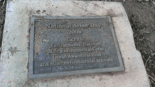 National Arbor Day 2000 Plaque