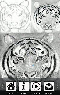 How To Draw a Tiger
