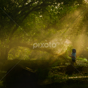 Classic Asian by Ardy Adriana - Landscapes Forests