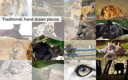 Big Cat Jigsaw Puzzles Demo poster 3