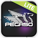 Pegaso Lite